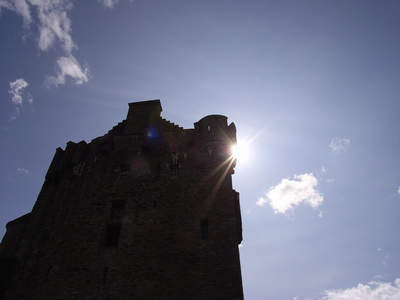 „At the cutting edge“