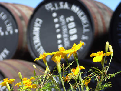 „Scotland’s finest“<br>